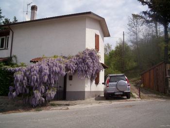 Immagine annuncio