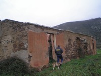 Immagine annuncio