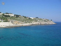 Immagine annuncio