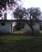 Foto miniatura 2
