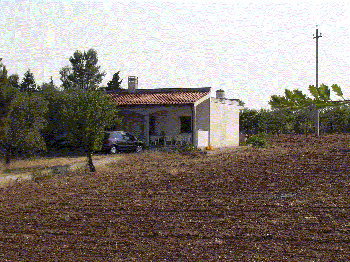 Foto miniatura 2