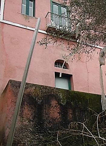 Immagine annuncio