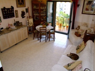 Immagine annuncio