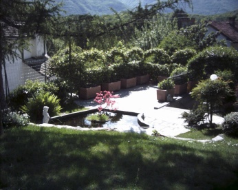 Foto miniatura 3