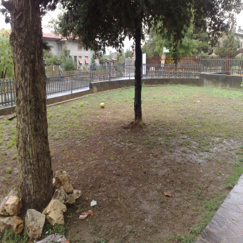 Foto miniatura 2