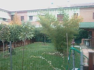 Foto miniatura 2