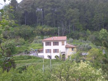Foto miniatura 2