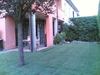 Immagine annuncio