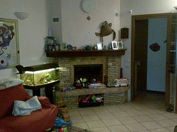 Immagine annuncio