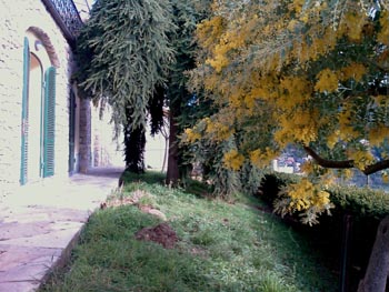 Immagine annuncio