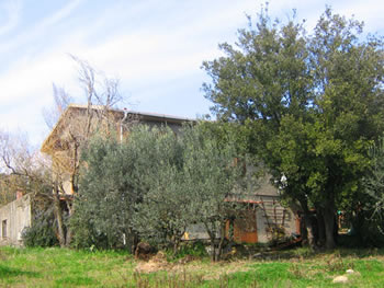 Immagine annuncio