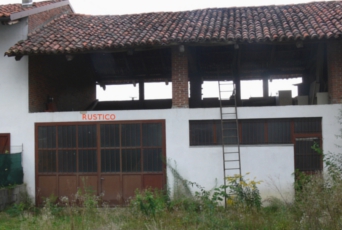 Foto miniatura 2