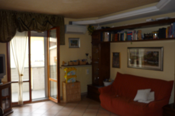 Foto miniatura 3