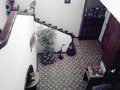 Foto miniatura 3