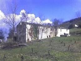 Immagine annuncio