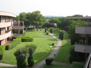 Foto miniatura 2