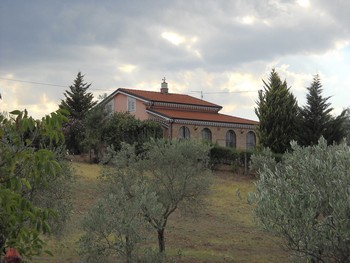 Immagine annuncio