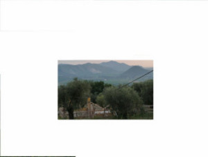 Immagine annuncio