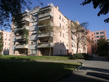 Foto miniatura 2