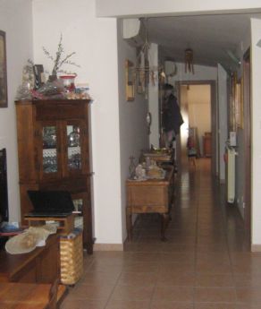 Foto miniatura 4