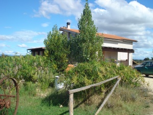 Foto miniatura 2