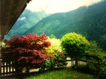 Foto miniatura 2