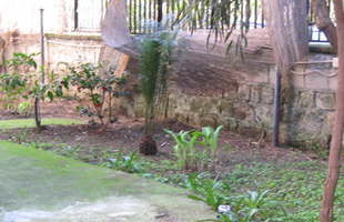 Foto miniatura 3