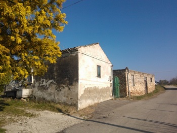 Immagine annuncio