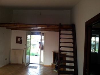 Foto miniatura 2